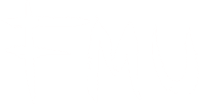 FMU, Festival mladih umjetnika